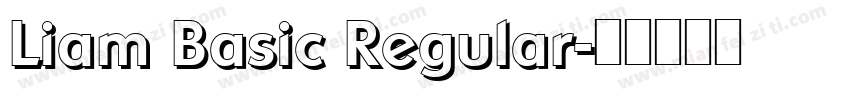 Liam Basic Regular字体转换